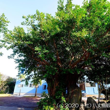 国民宿舎 サンマリーナ 八丈町 エクステリア 写真