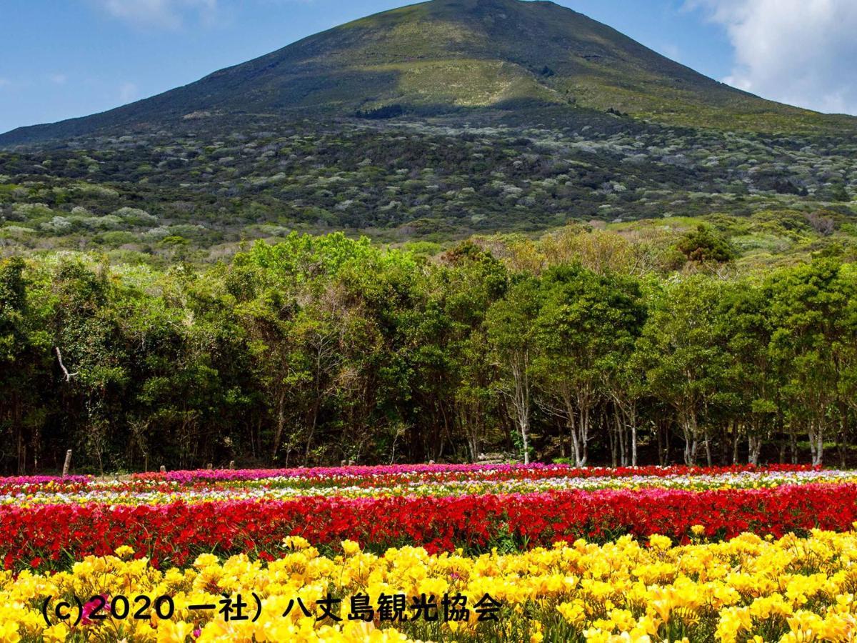 国民宿舎 サンマリーナ 八丈町 エクステリア 写真
